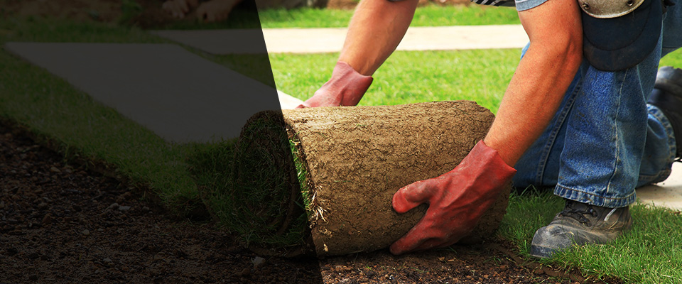 Marseilles Landscapers